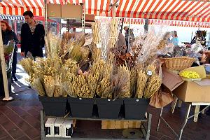 126- Vieux Nice 